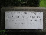 image of grave number 673925